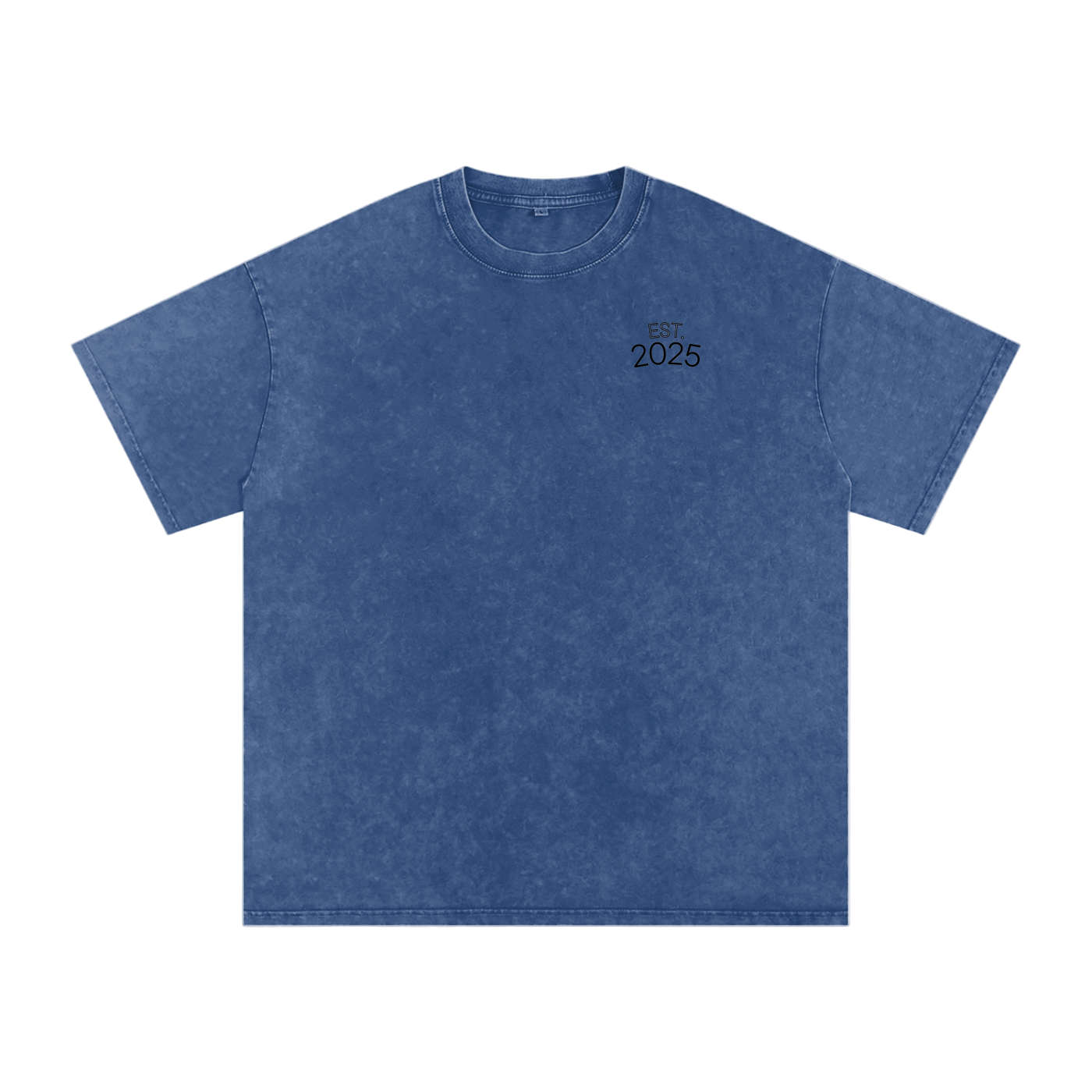 RAA Snow Washed Oversized Cotton T-Shirt