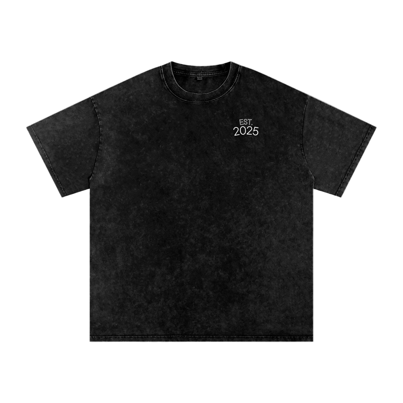 RAA Snow Washed Oversized Cotton T-Shirt